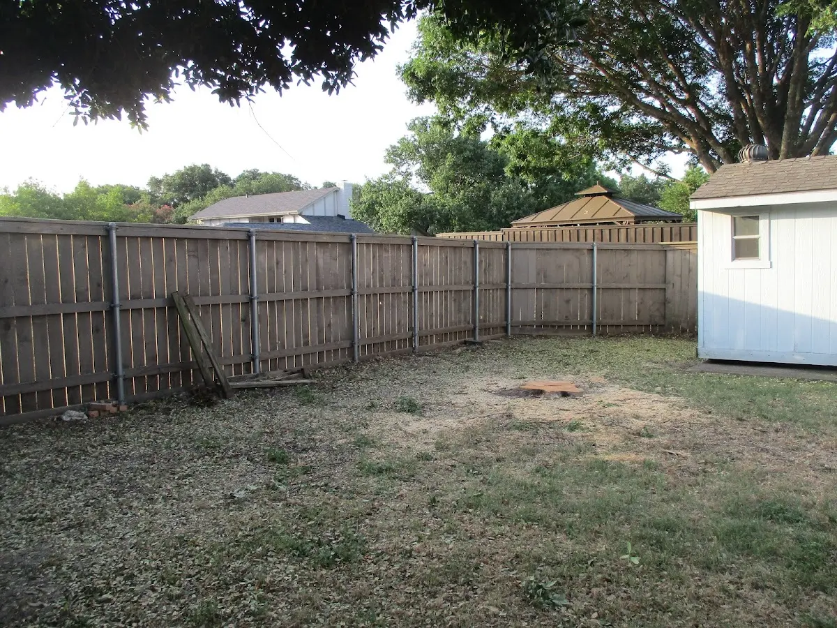 Cleared yard after professional tree removal in Sabinsville